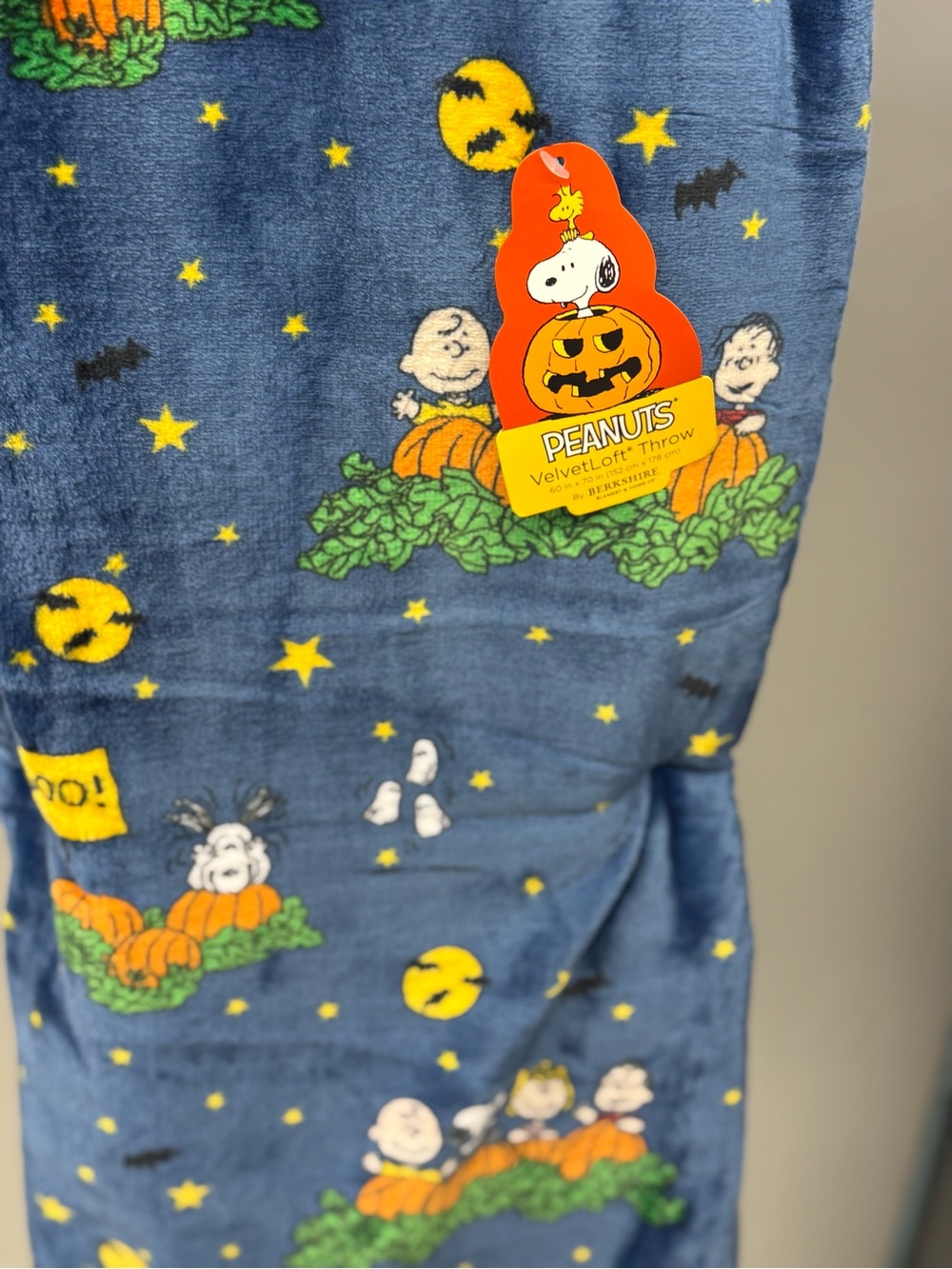 Peanuts VelvetLoft Blue Halloween Throw Blanket